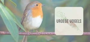 Vroege Vogels header