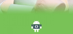 Android Marshmallow developer