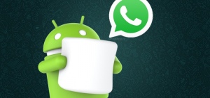 WhatsApp Marshmallow header