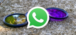 WhatsApp filter