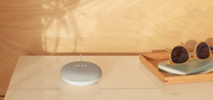 Google Home Mini