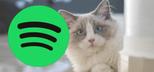 Spotify Huisdier header